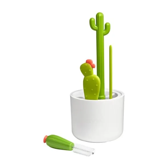 Boon Cactus Flesvoeding Schoonmaakset