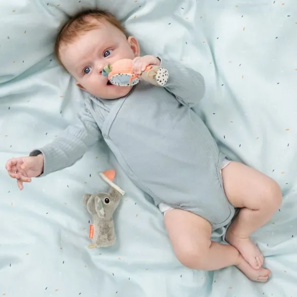 Done By Deer Celebration Sensory Rammelaar - Colour Mix