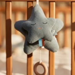 Jollein Muziekhanger Star - Sea Green