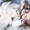 Kidslabel Speendoek Schaap - Charlie - Teddy