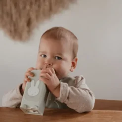 Nijntje Drinkpakjeshouder - Groen